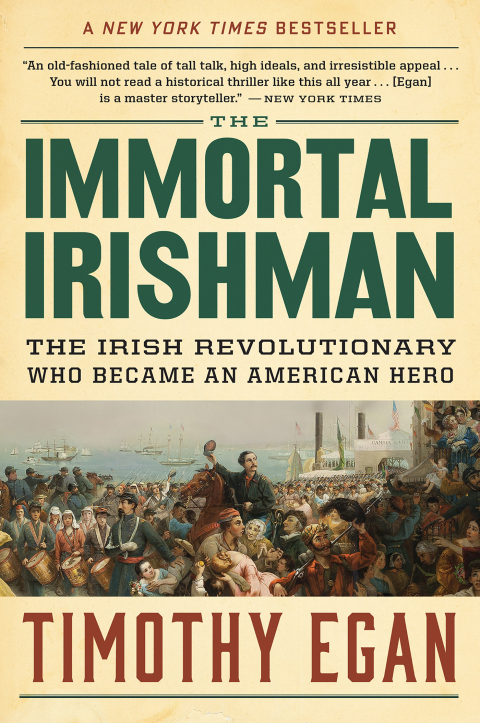 Cover image for book The Immortal Irishman