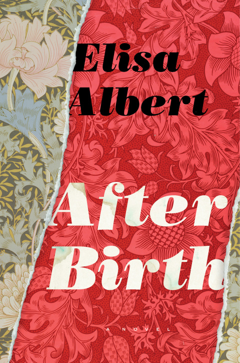 Cover image for book After Birth