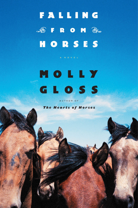 Cover image for book Falling from Horses