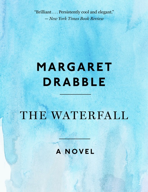 Cover image for book The Waterfall