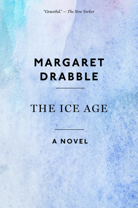 Cover image for book The Ice Age