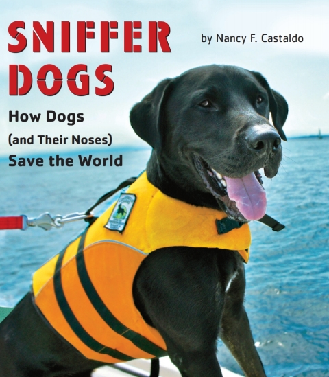 Cover image for book Sniffer Dogs