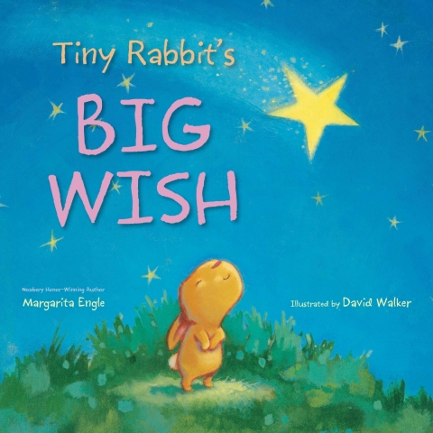 Cover image for book Tiny Rabbit's Big Wish
