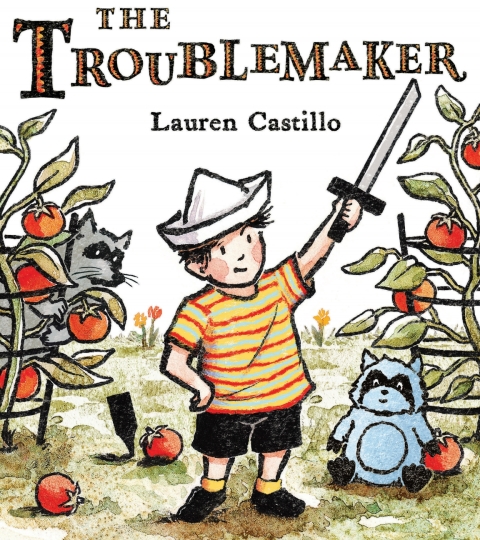 Cover image for book The Troublemaker