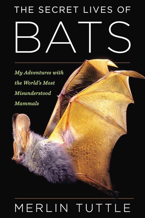 Cover image for book The Secret Lives of Bats