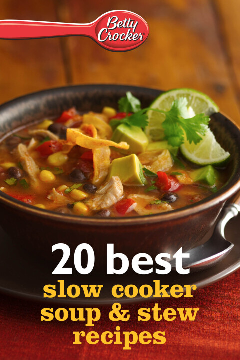Cover image for book 20 Best Slow Cooker Soup & Stew Recipes