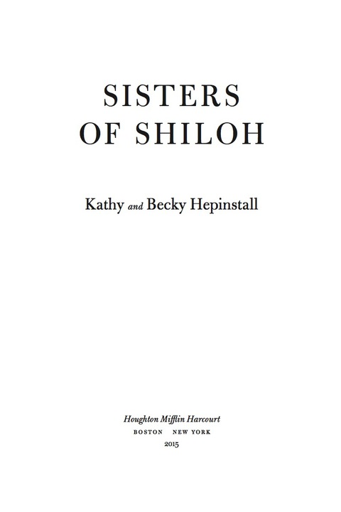 Cover image for book Sisters of Shiloh