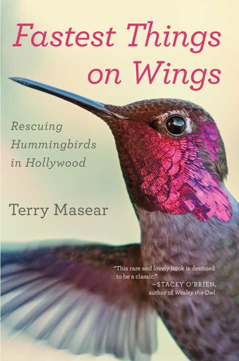 Cover image for book Fastest Things on Wings