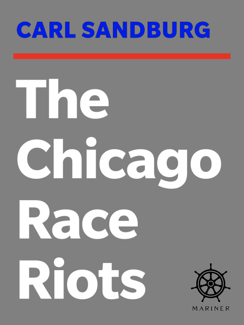 Cover image for book The Chicago Race Riots