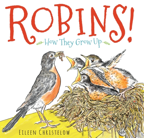 Cover image for book Robins!