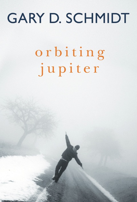 Cover image for book Orbiting Jupiter