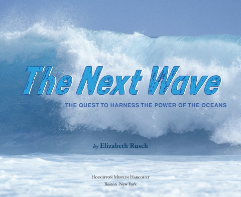 Cover image for book The Next Wave