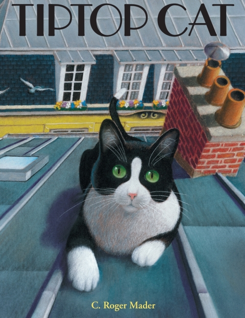 Cover image for book Tiptop Cat