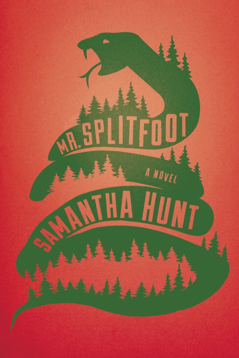 Cover image for book Mr. Splitfoot