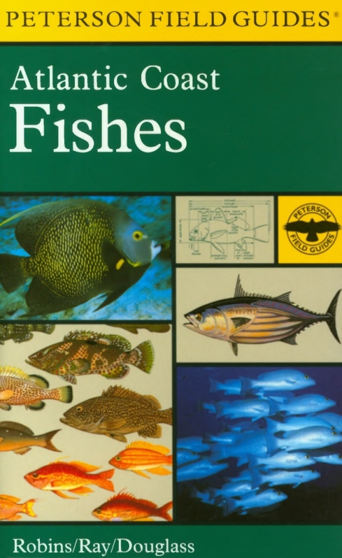 Cover image for book A Field Guide To Atlantic Coast Fishes