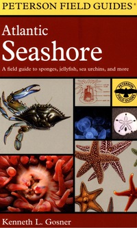 Cover image: Atlantic Seashore 9780544530850