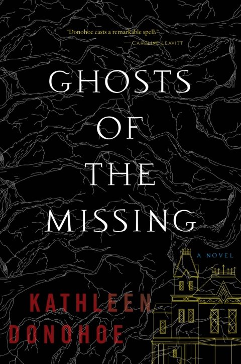 Cover image for book Ghosts Of The Missing