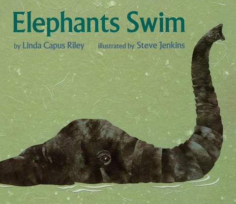 Cover image for book Elephants Swim