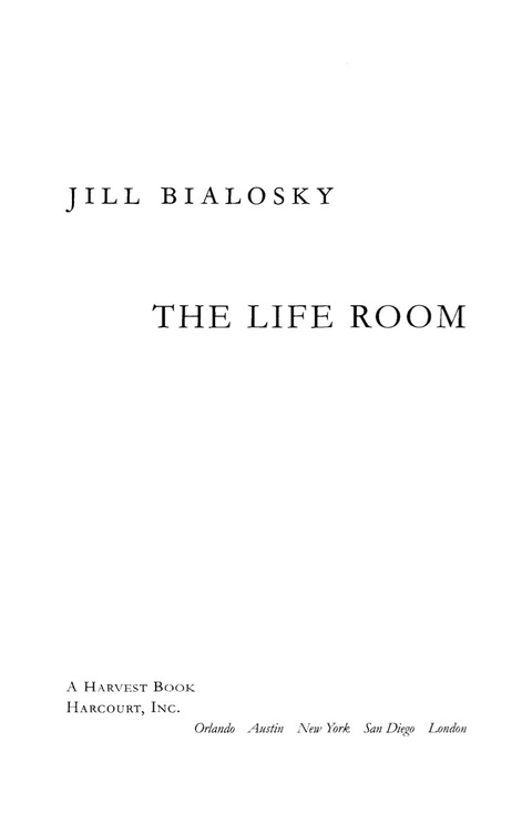 Cover image for book The Life Room