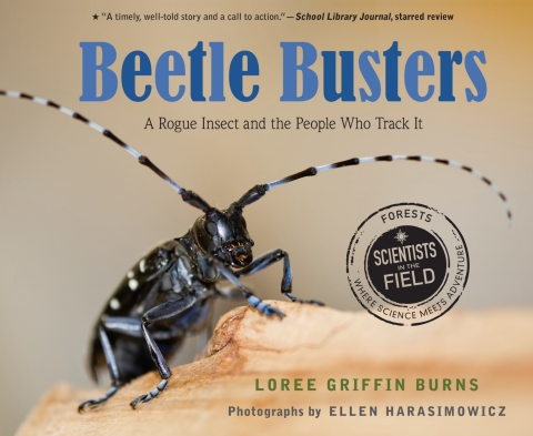 Cover image for book Beetle Busters