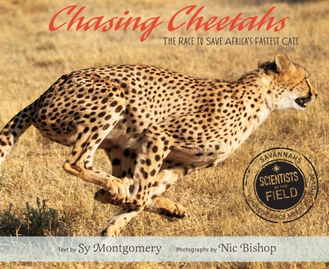 Cover image for book Chasing Cheetahs