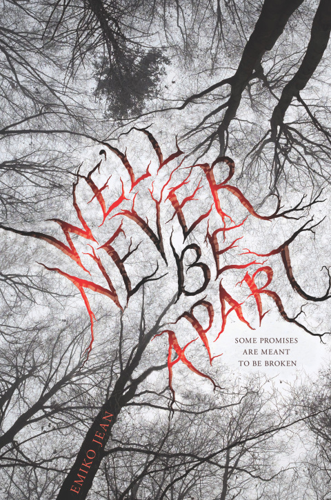 Cover image for book We'll Never Be Apart