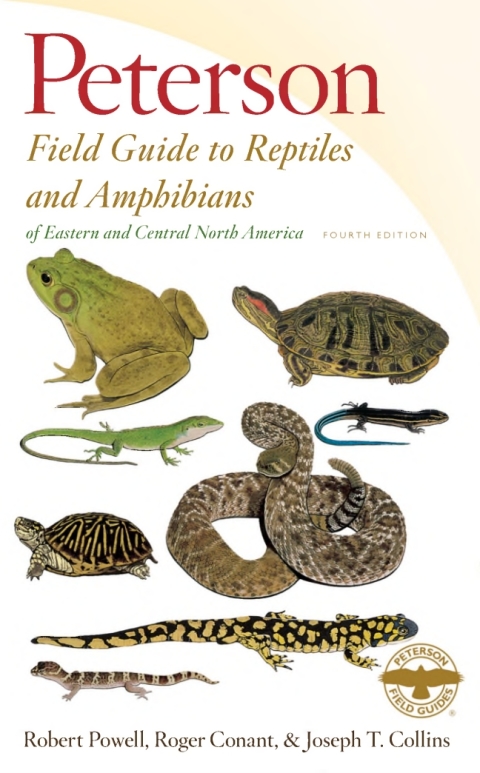 Cover image for book Peterson Field Guide To Reptiles And Amphibians Eastern & Central North America