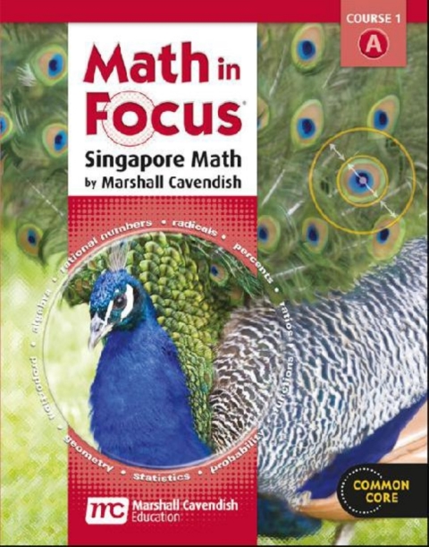 Cover image for book Math in Focus: Singapore Math Student Edition Digital Content Volume A Grade 6 2012