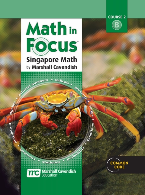 Cover image for book Math in Focus: Singapore Math Grade 7 Volume B