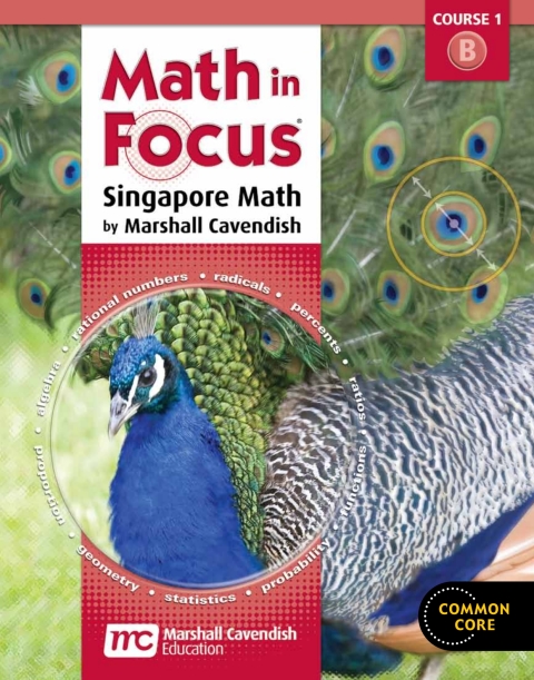 Cover image for book Math in Focus: Singapore Math Grade 6 Volume B