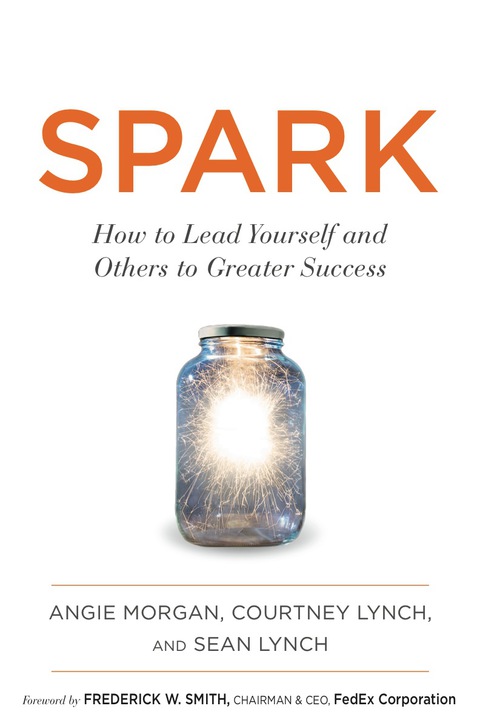 Cover image for book Spark