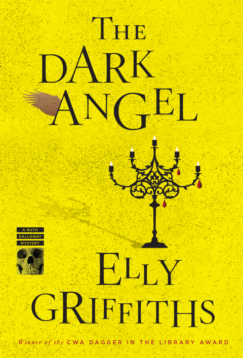 Cover image for book The Dark Angel