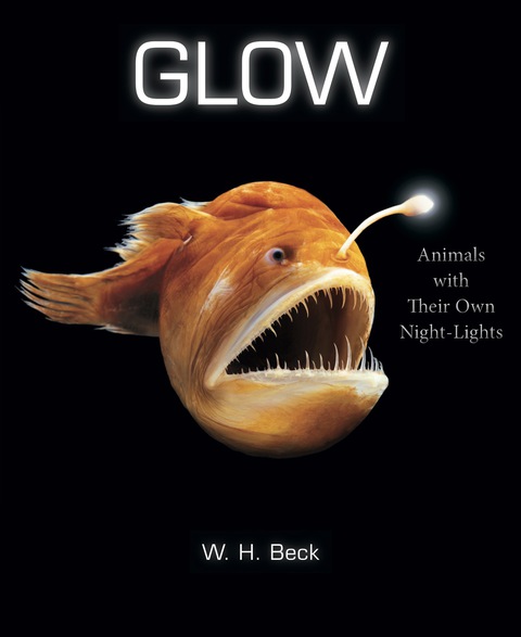 Cover image for book Glow