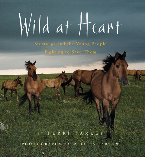 Cover image for book Wild at Heart