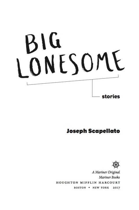 Cover image for book Big Lonesome
