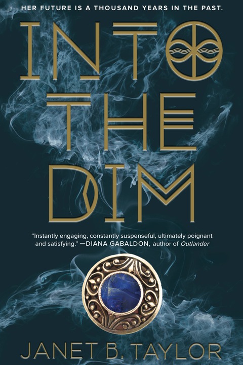Cover image for book Into the Dim