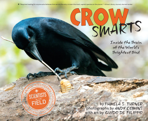 Cover image for book Crow Smarts