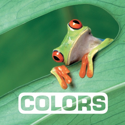 Cover image for book Colors