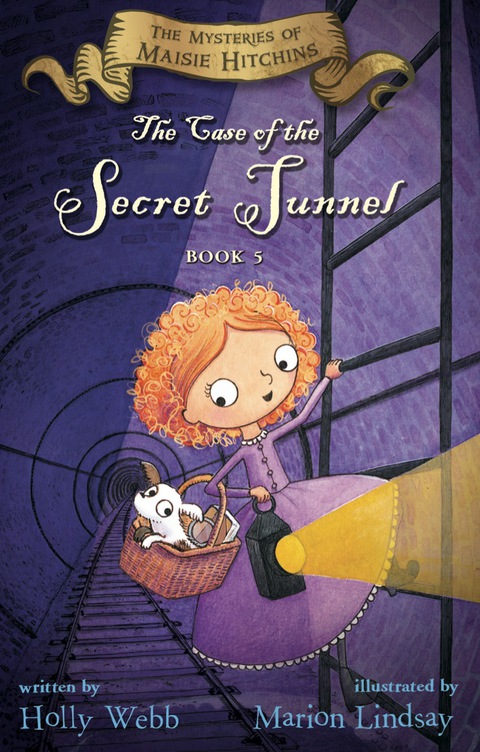 Cover image for book The Case of the Secret Tunnel