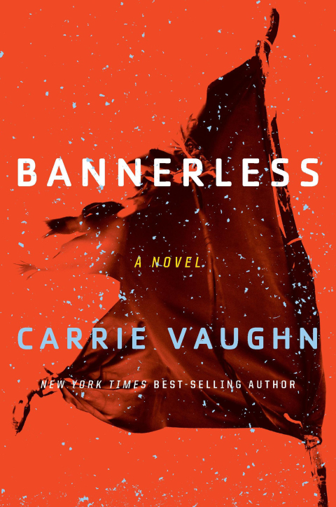 Cover image for book Bannerless