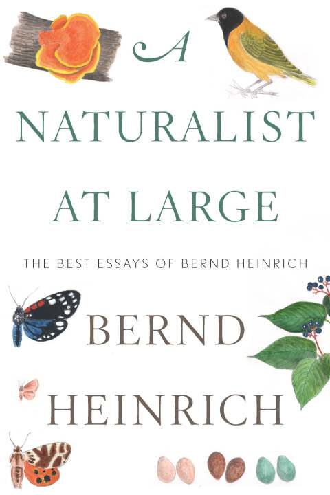 Cover image for book A Naturalist at Large