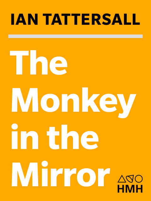 Cover image for book The Monkey in the Mirror