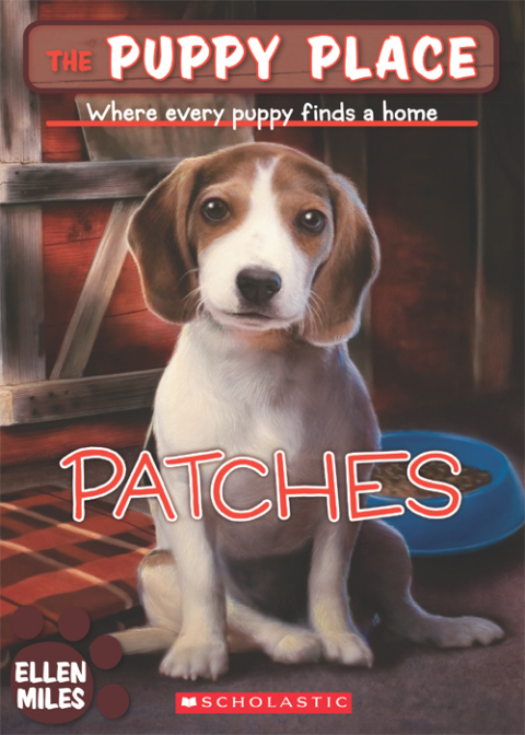 Cover image for book Patches