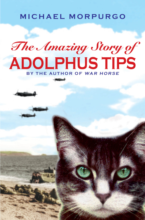 Cover image for book The Amazing Story of Adolphus Tips