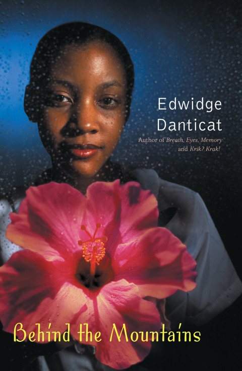 Cover image for book Behind the Mountains