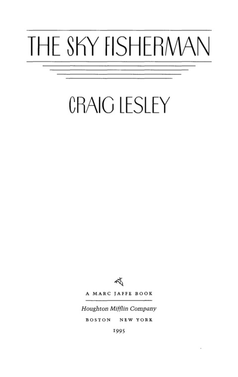 Cover image for book The Sky Fisherman