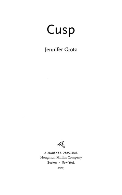 Cover image for book Cusp