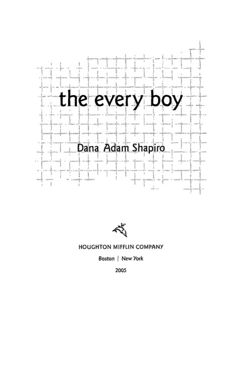 Cover image for book The Every Boy