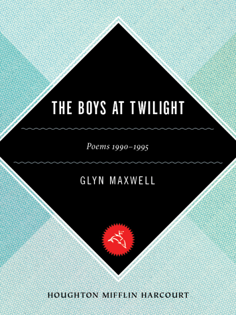 Cover image for book The Boys At Twilight