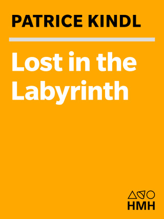 Lost in the Labyrinth